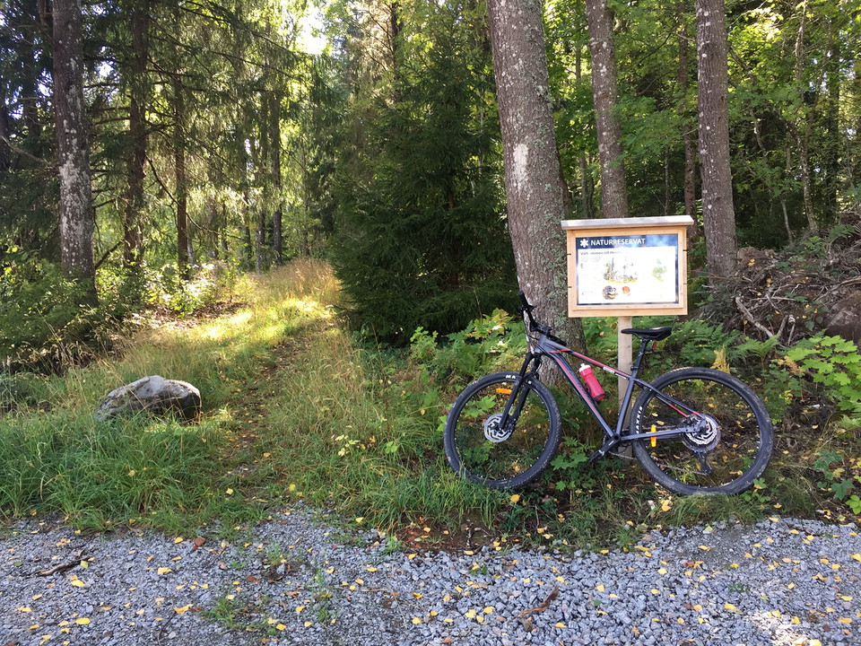 En mountainbike står lutad mot stolpen till informationstavlan. Solen lyser på stigen in i skogen.