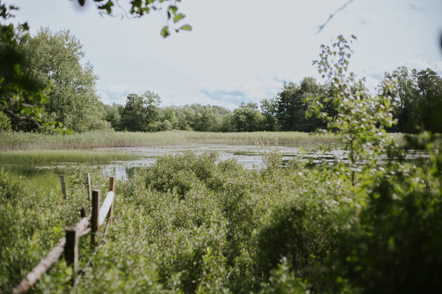 Vedåsa naturreservat