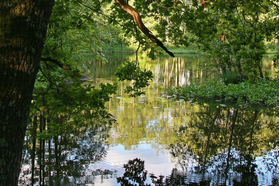 Fotograf: Mikael Persson