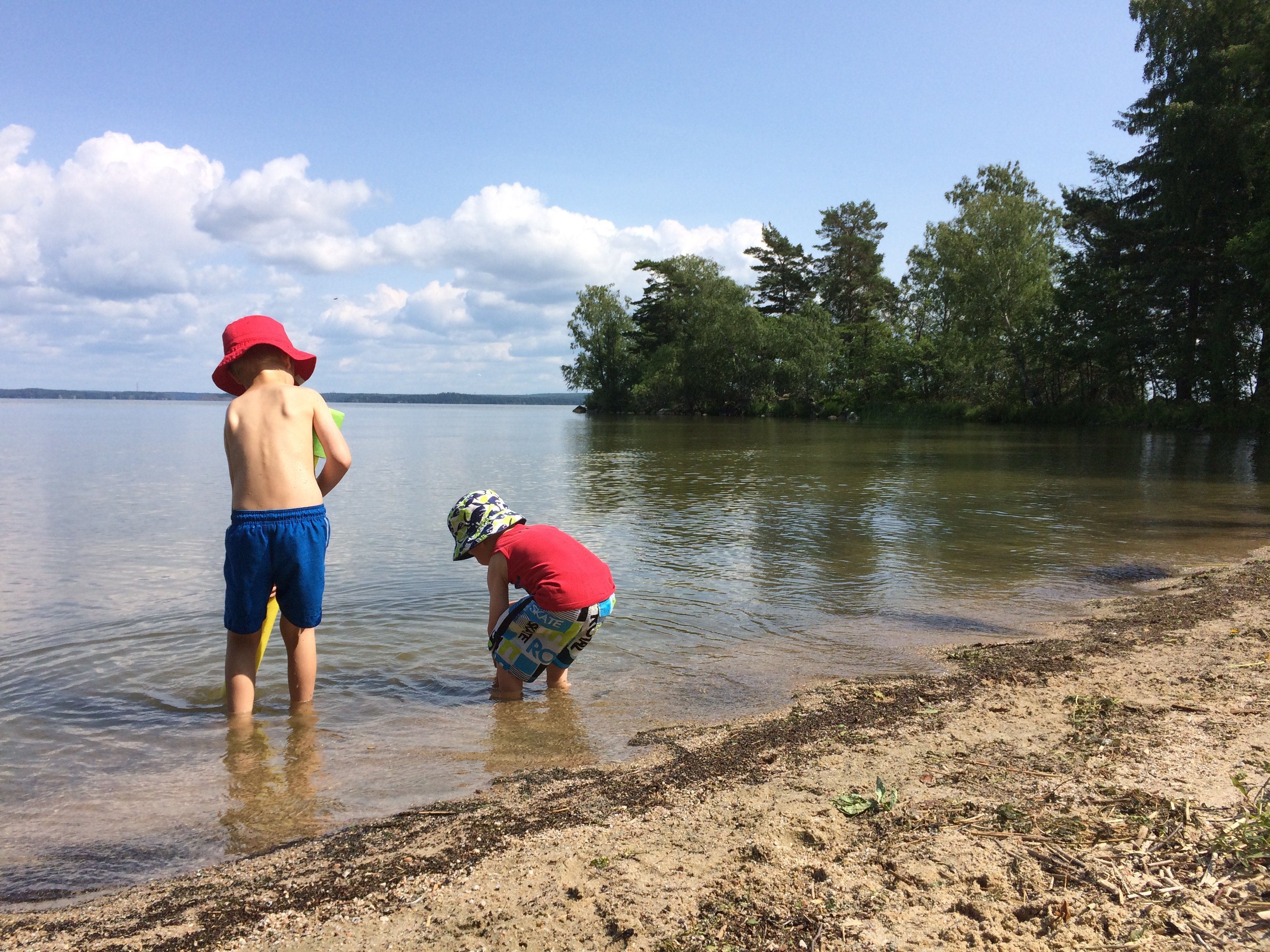 Två barn leker i vattnet vid en sandstrand. I bakgrunden växer flera träd. 