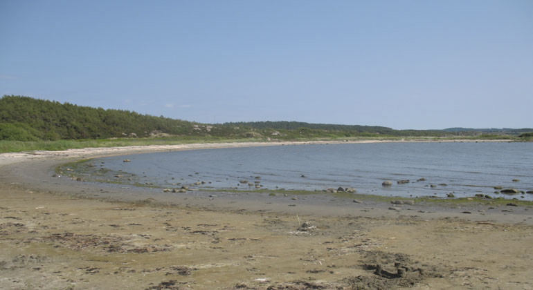 Vy från land över en vik