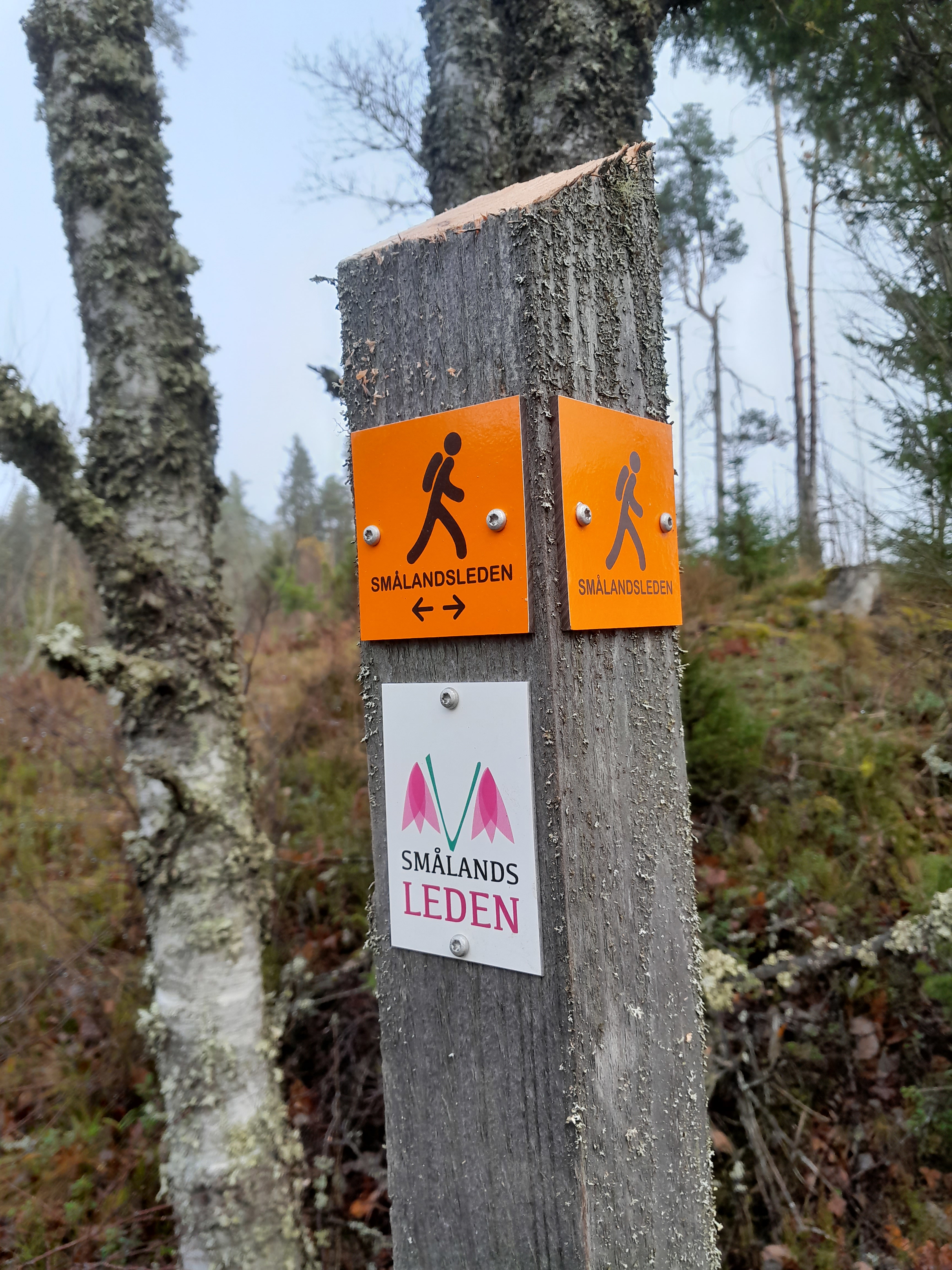 Runde Schleifen