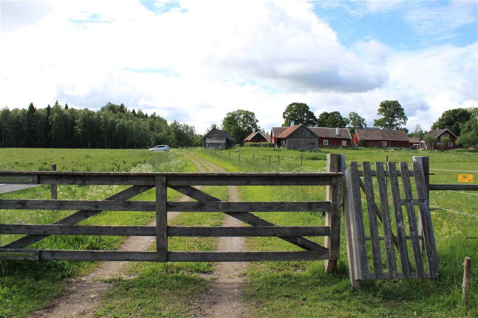 En hage med grind. Bortanför grinden går en skogsbilväg fram till en parkeringsplats med en gård mittemot.