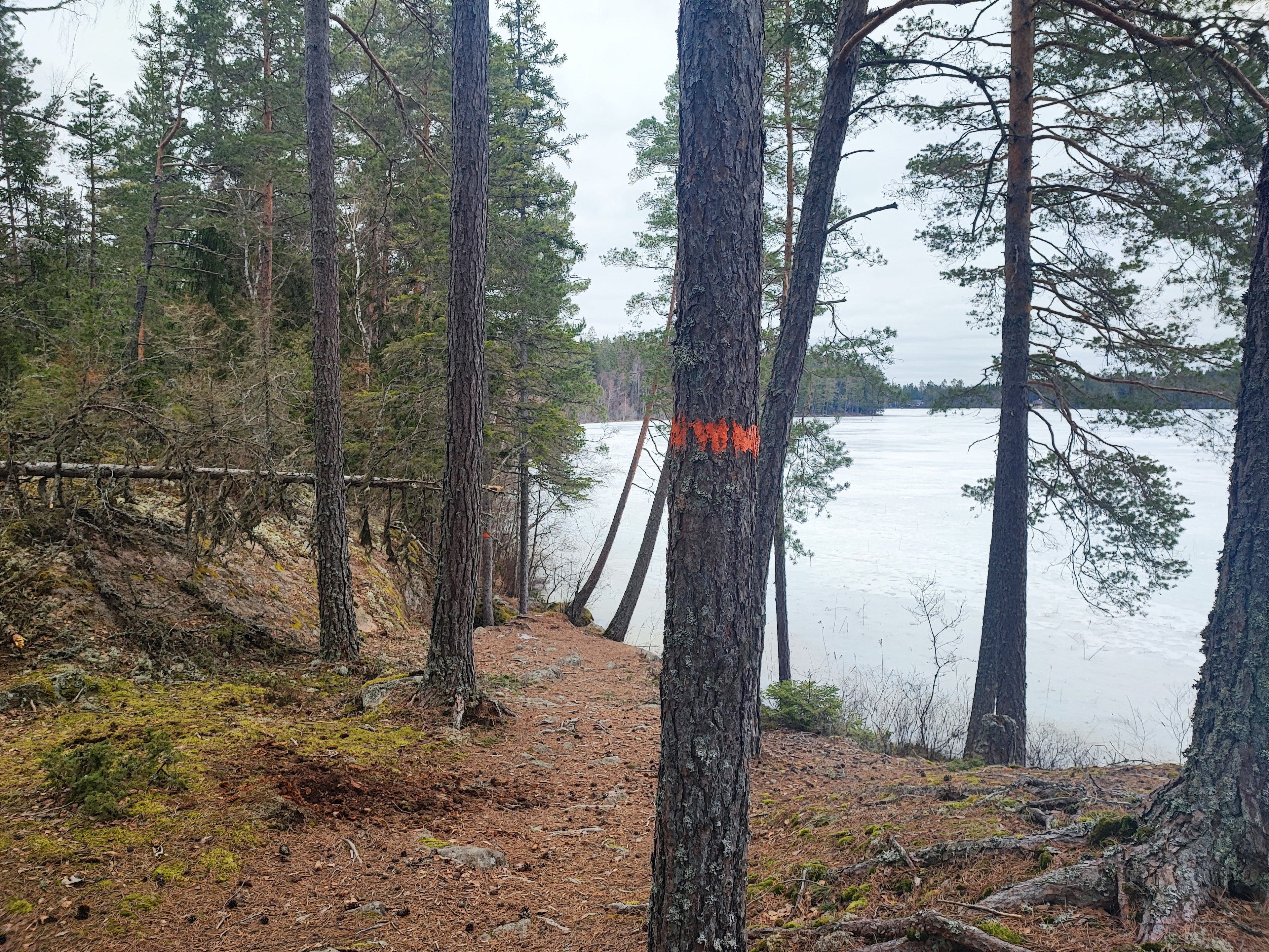 07 Långsjön – Ramnäs, via Rövallskojan | Bruksleden