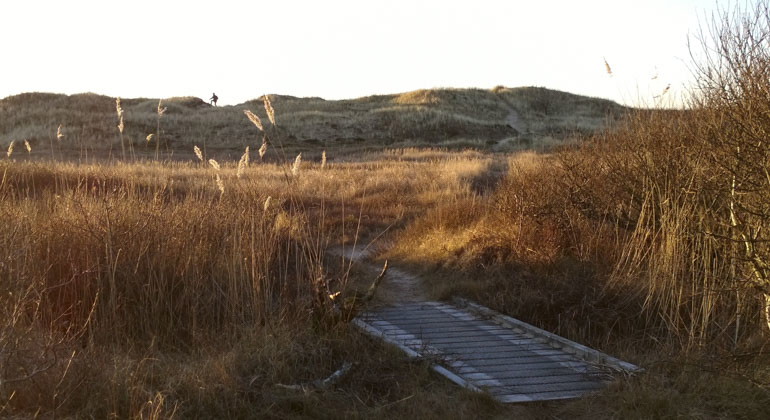led i reservatet en höstdag
