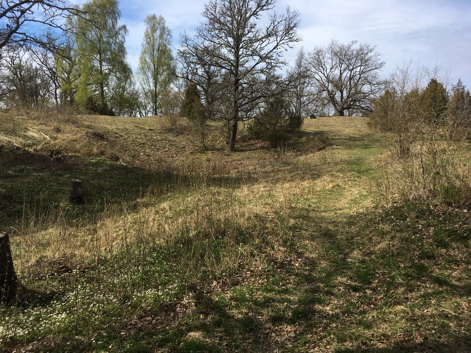 Något kuperad hagmark med många buskar och träd.