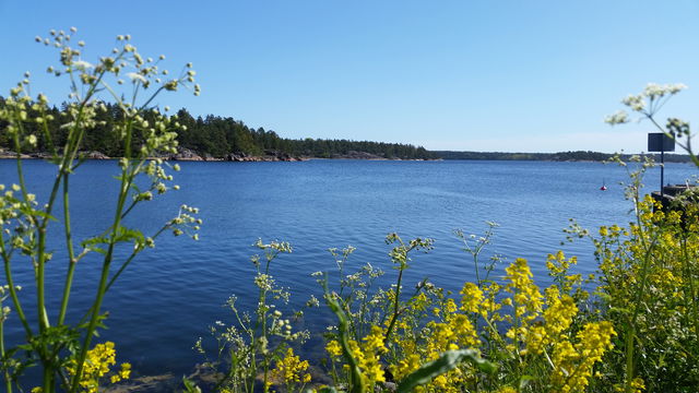 Klintemåla kanotbrygga