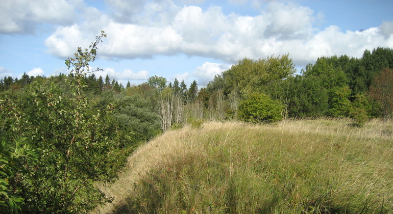 Tegelbruksområdet.