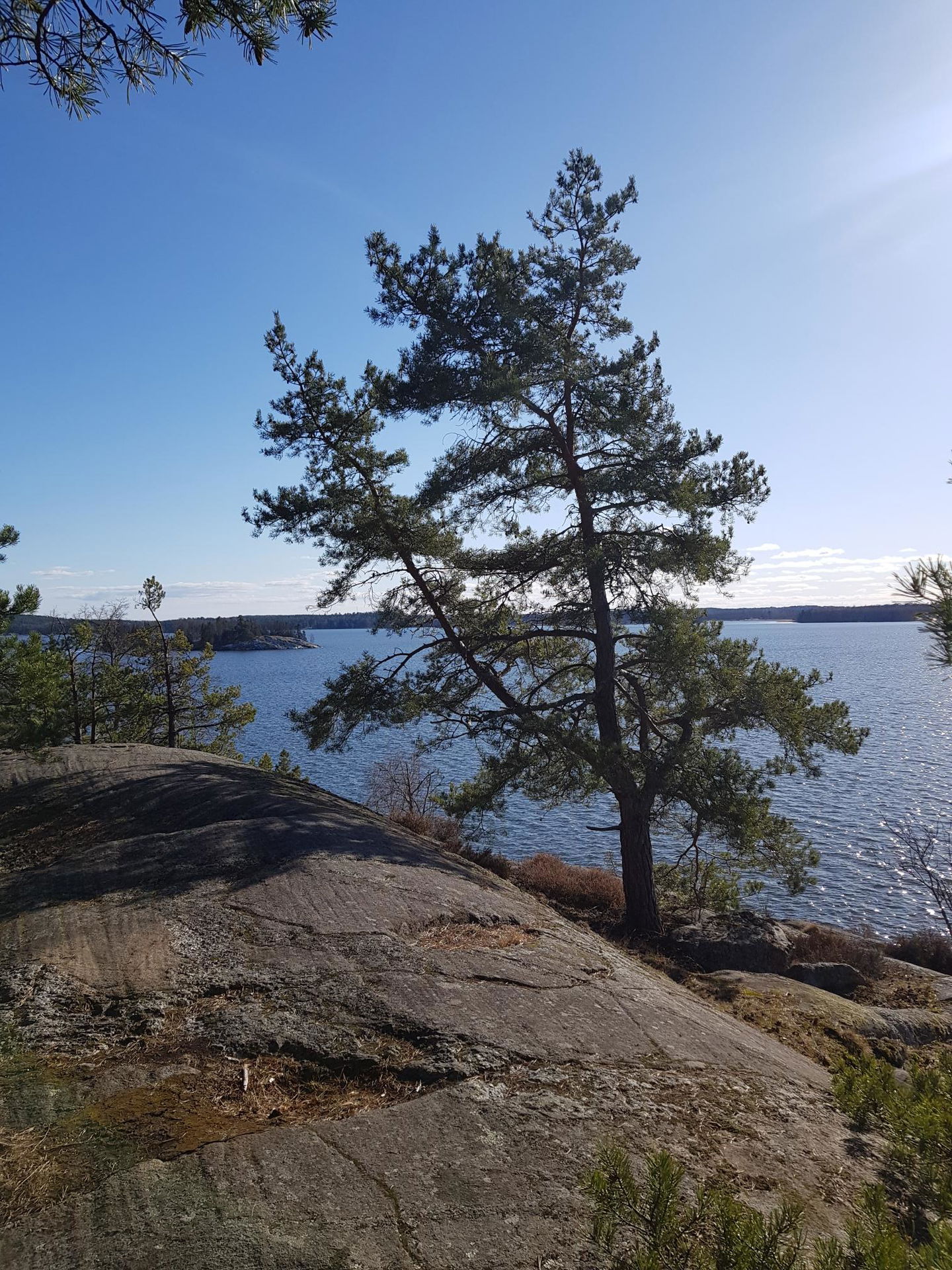 Frölunda naturreservat