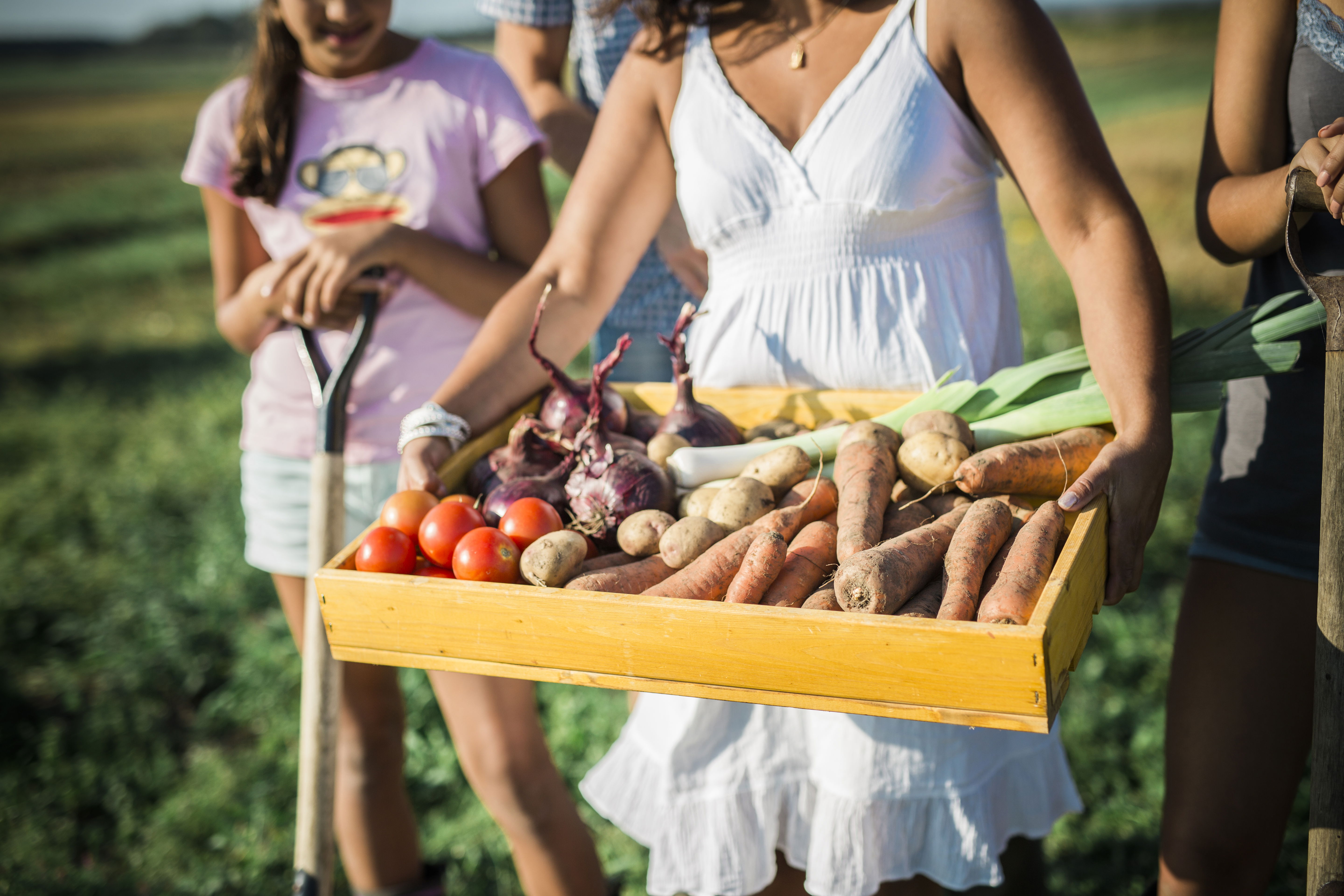 Gårdsbutiker och lokalt producerade grödor längs med Rönne å och Runt Ringsjön