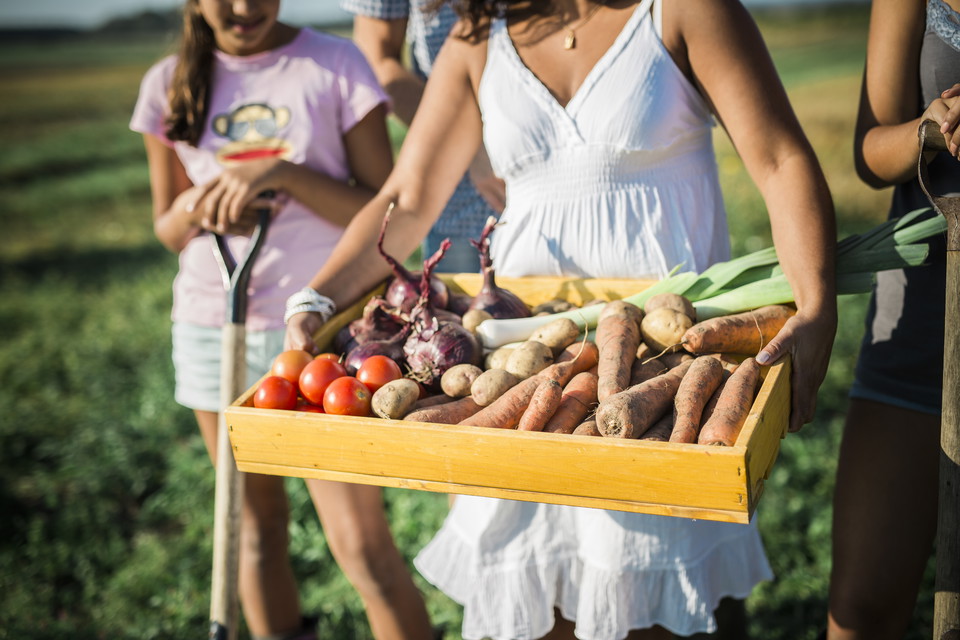 Gårdsbutiker och lokalt producerade grödor längs med Rönne å och Runt Ringsjön