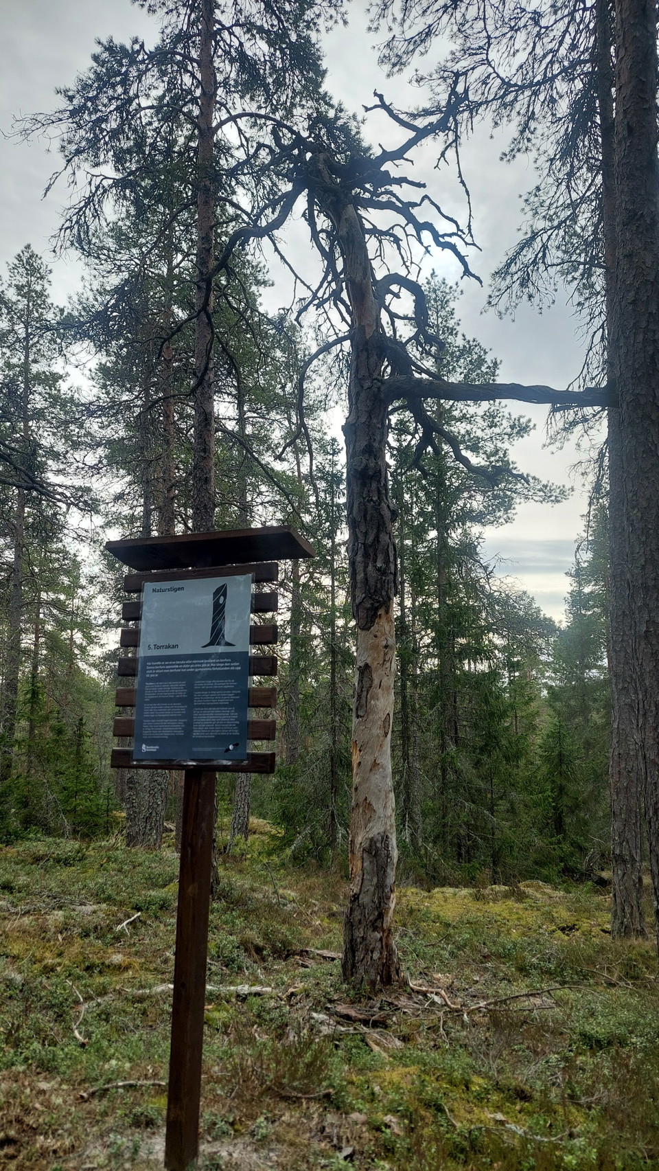 Skylt längs naturstigen