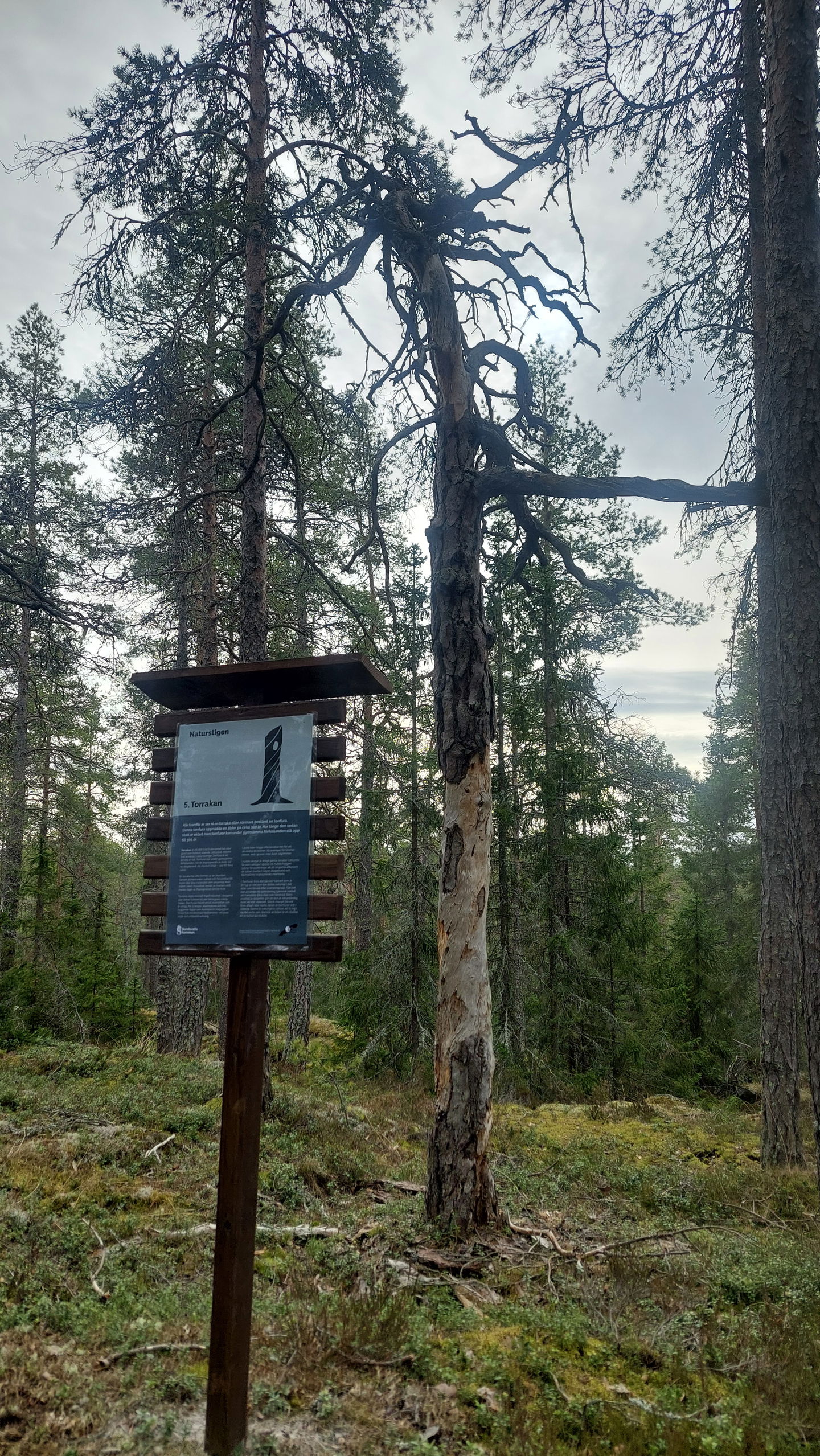 Skylt längs naturstigen