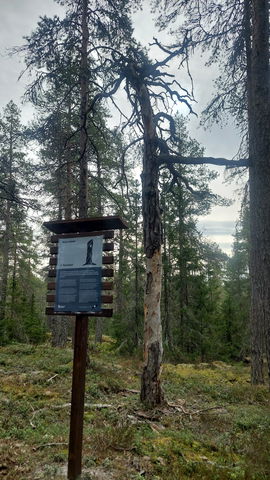 Ortviksbergets naturstig
