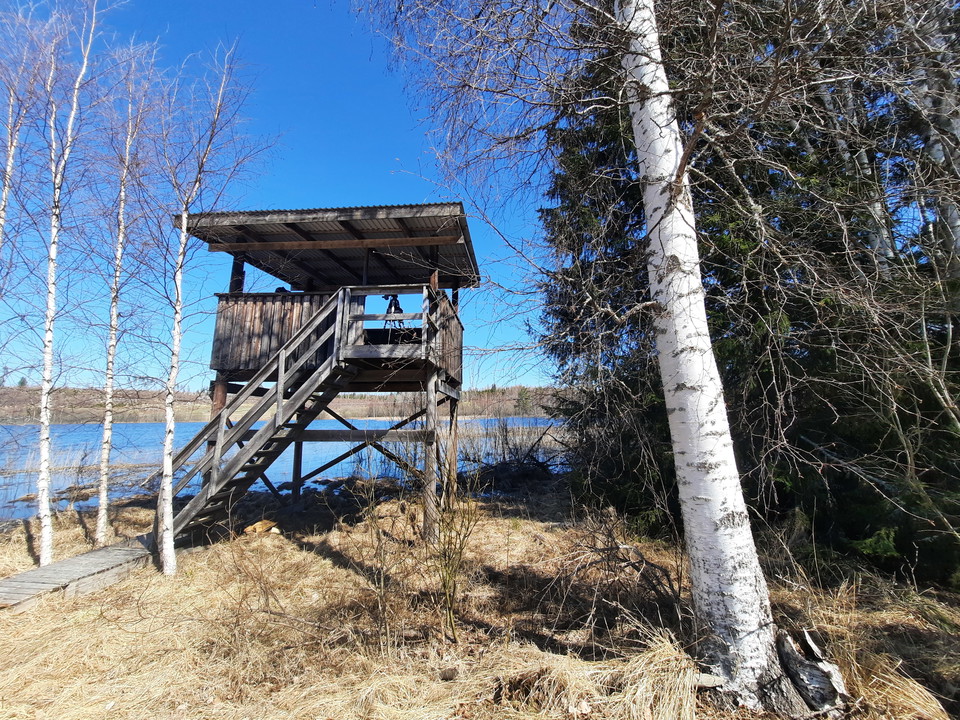 Fågeltornet har rustats upp och går att nå efter en kort vandring.