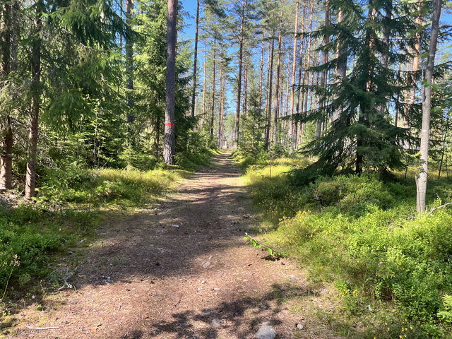 Högbo bruk-Medskogssjön, Gästrikeleden etapp 3