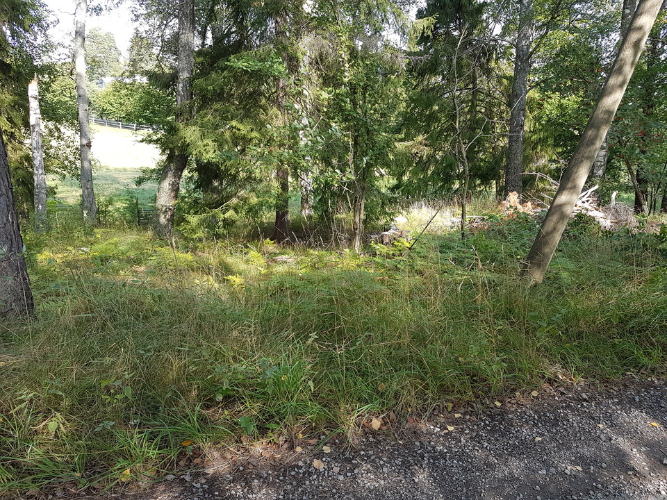 Svårt att hitta från Östervik mot Duvholmsvägen. Foto Lidingö stad.