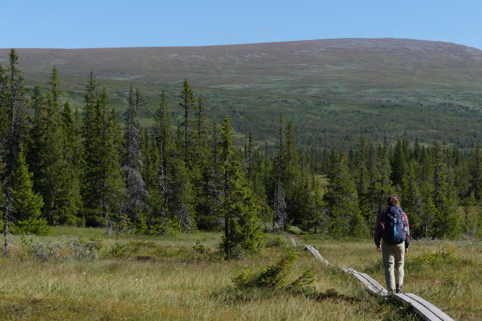 Klöverfjället.