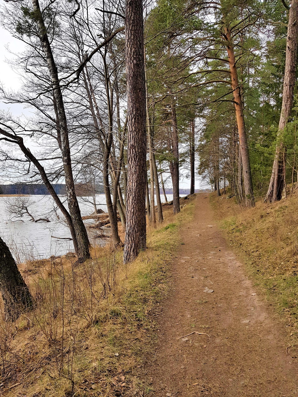 Den delen av Upplandsleden som löper i nivå med Mälarens strand är relativt flack och har ett jämt underlag. Utmed denna sträcka finns naturbad, grillplatser med vindskydd och flera sittbänkar. Henrik de Joussineau