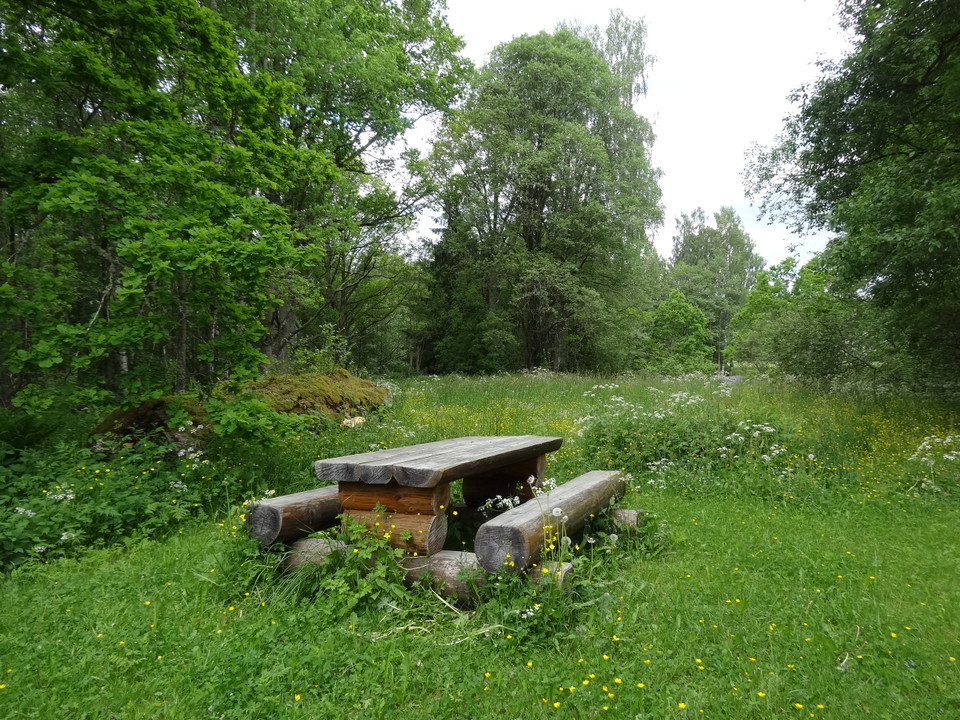Bänkbordet erbjuder en rastplats mitt i grönskan!