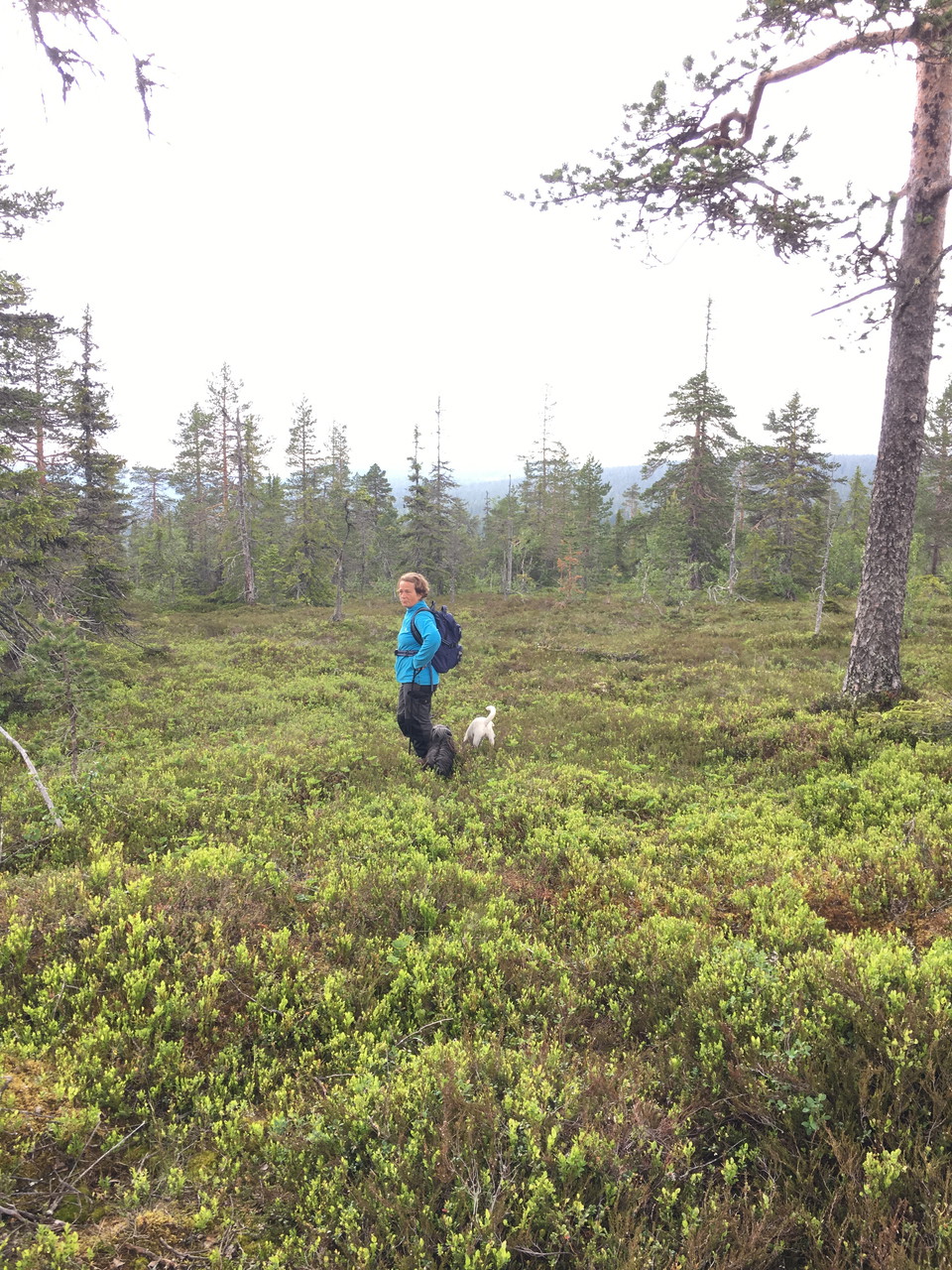 Vandrare på pilgrimsleden