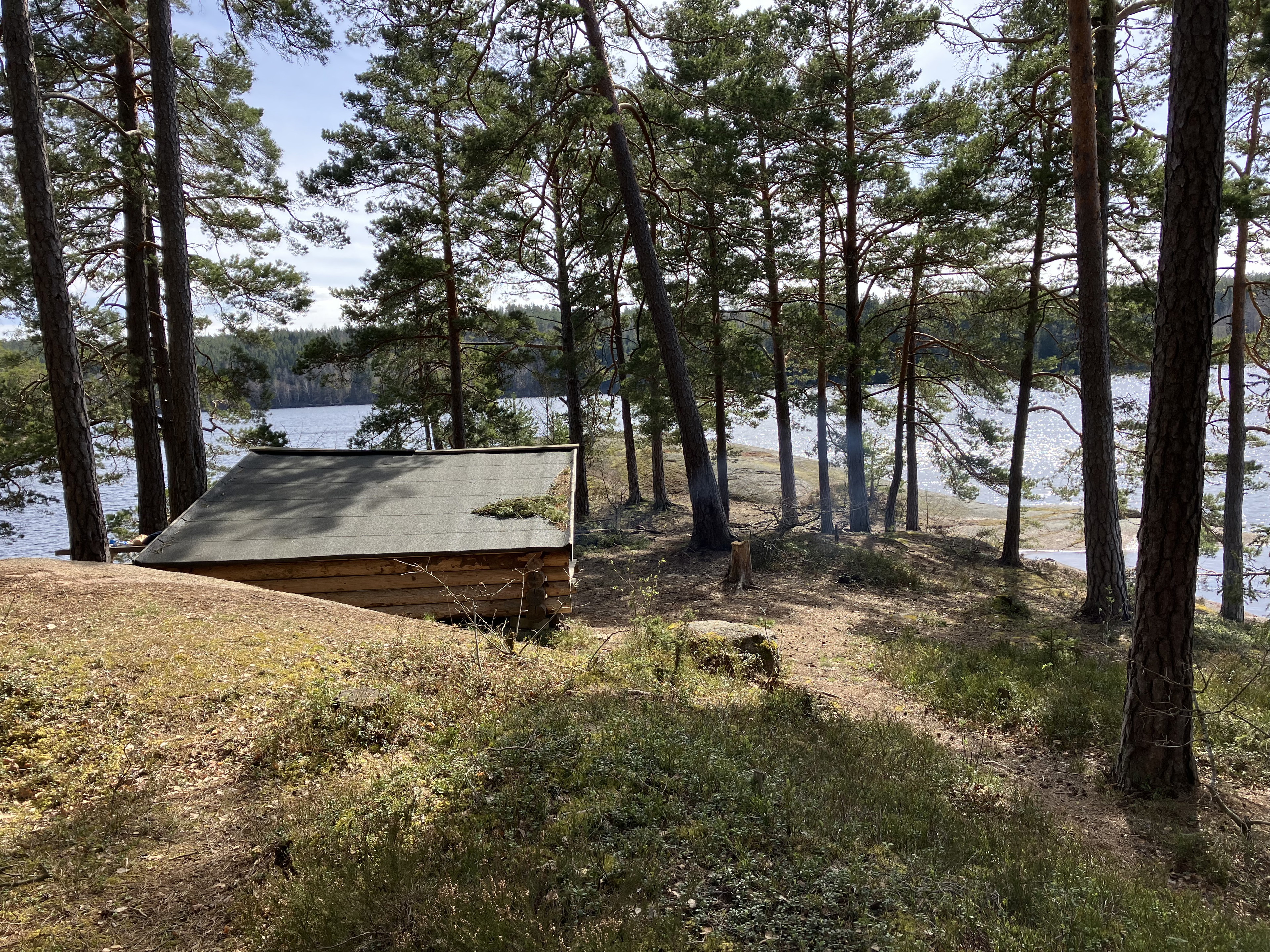 Tallholmens vindskydd