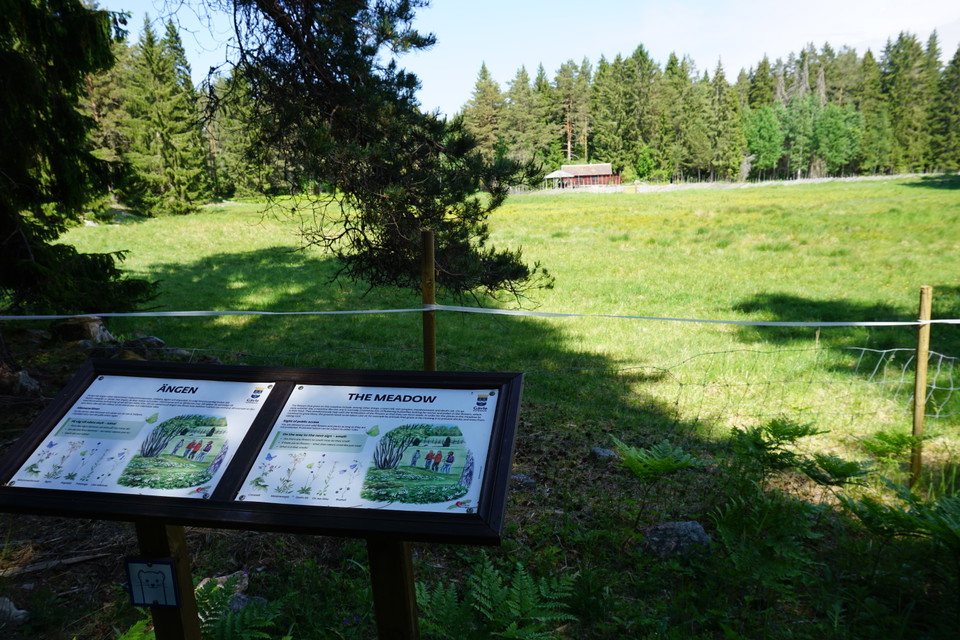Naturstigen i Hemlingby