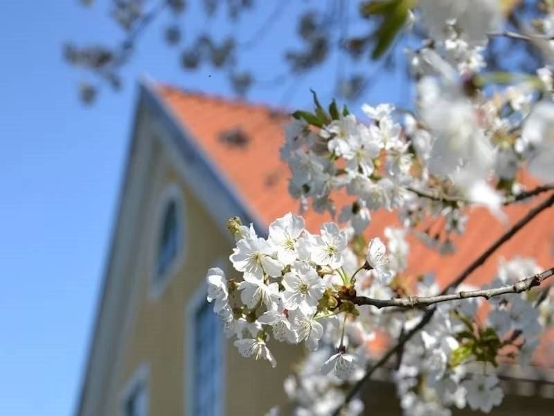 STF Tofvehult 