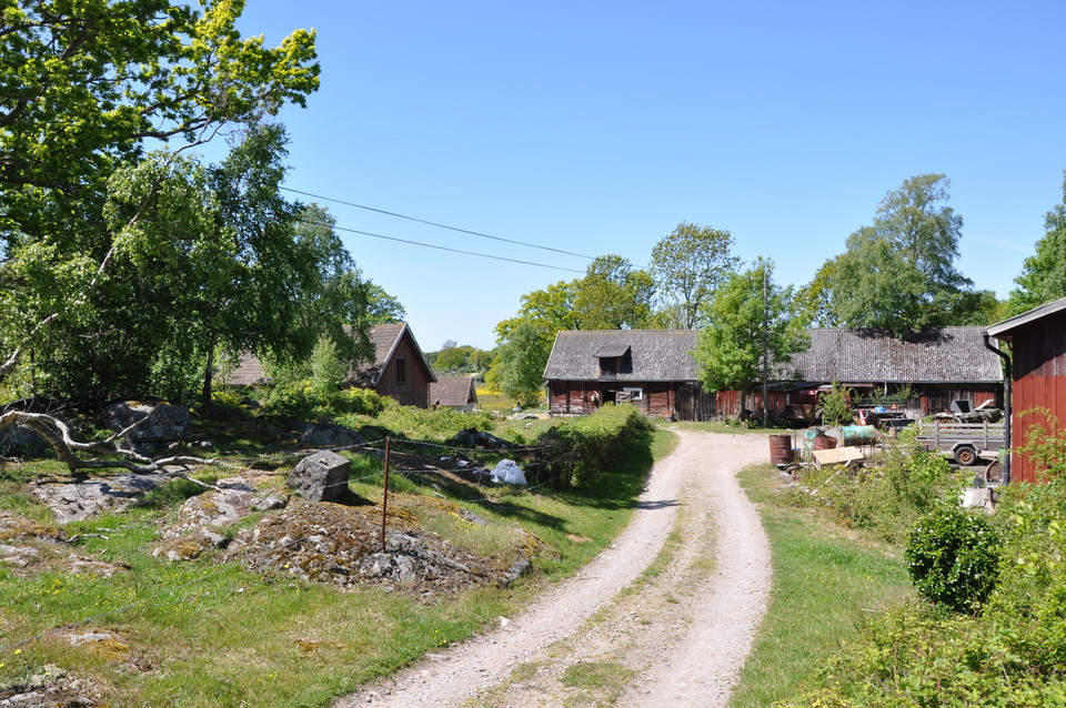 Fotograf: Mattias Holmquist