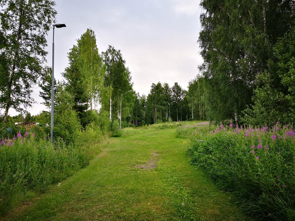 Välklippt stadionområde