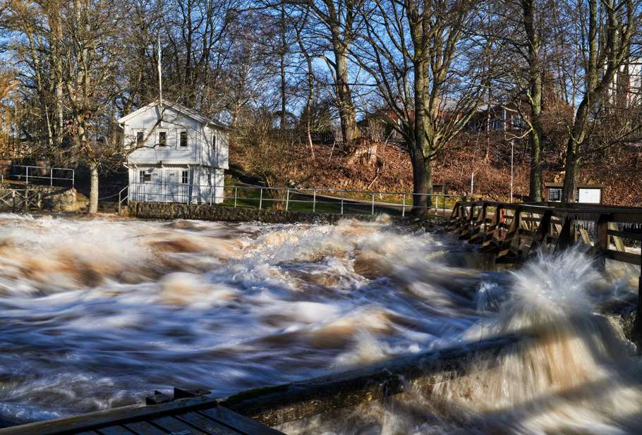 Bild: Sveaskog