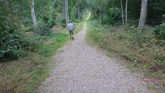 Liatorps elljusspår
