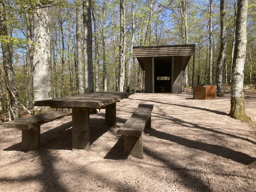 Bänkbord, grillplats och vindskydd med skog runtomkring