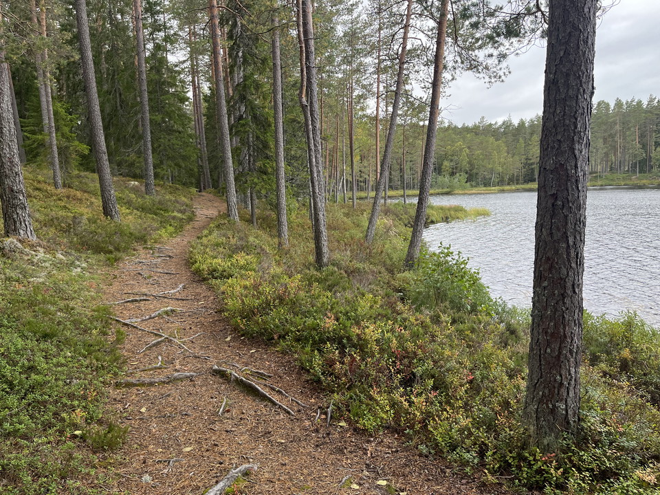 Stig vid Långtjärnarna