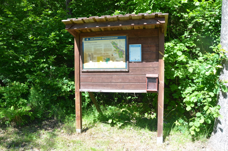 Gladö Kvarnsjön – bad, svamp- och bärmarker