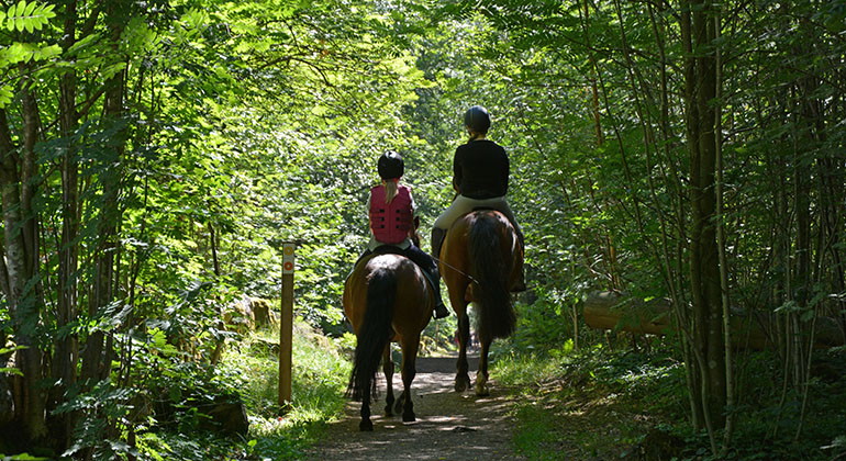 ridled i reservatet