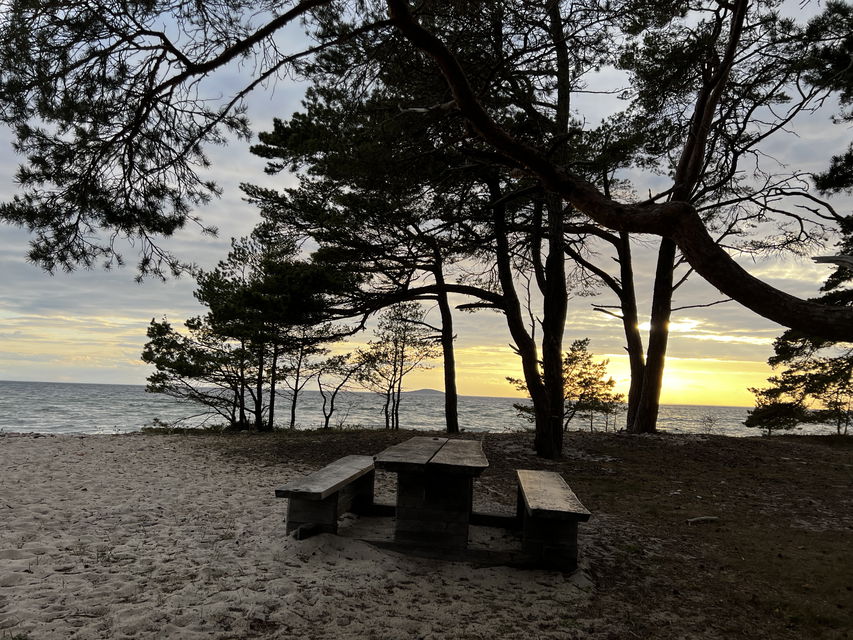 Rastbord vid havet