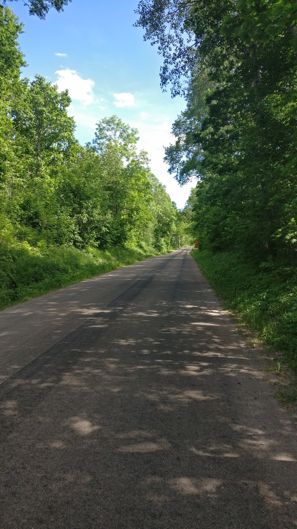 En grusväg med grönska runtomkring.
