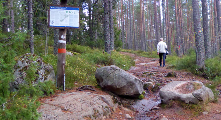 Det är både brant och bitvis stenigt längs vägen upp till Bispbergs klack.
