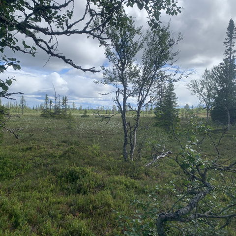 Alternativ ledsträcka Korskälla - Lövnäsvallen via Mölingdalsvallen