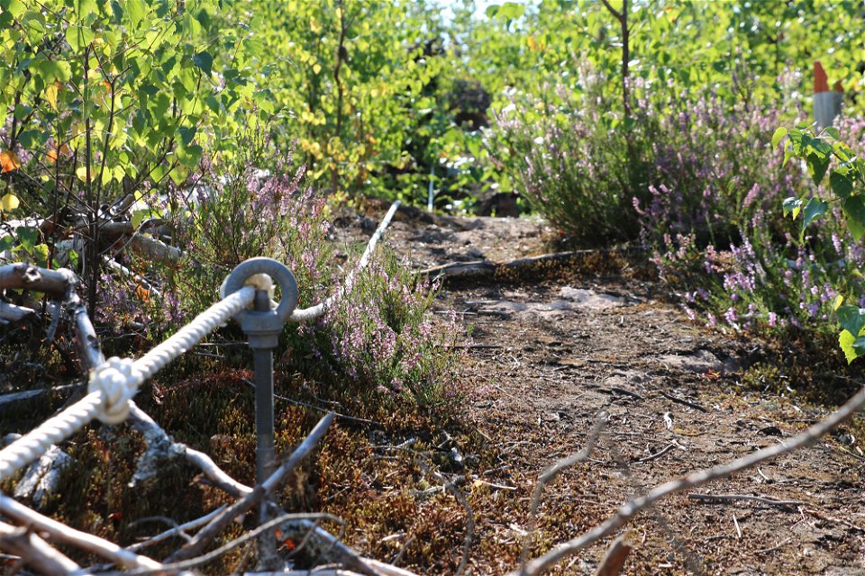 Rep som går igenom en metallögla nära marken.