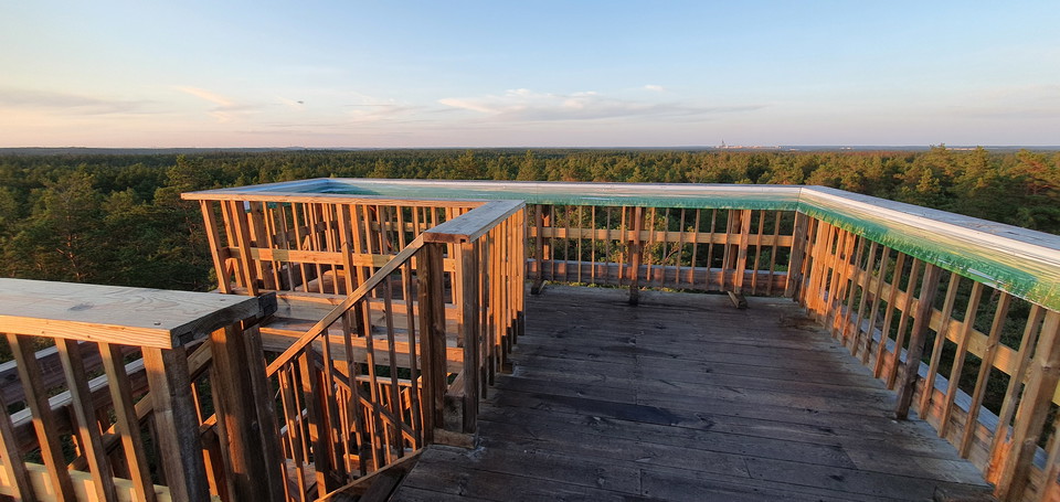 Plattformen högst upp på tornet. Utsikten domineras av skog.