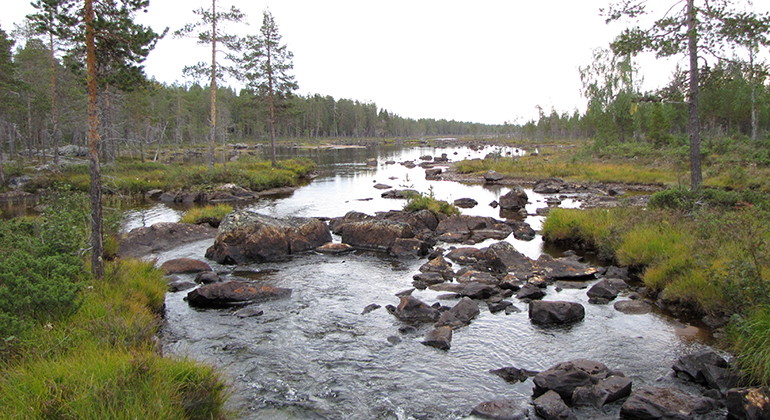 Paulajåkkå.