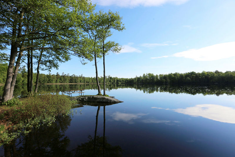 Sjön vid friluftsområdet Bastasjö.