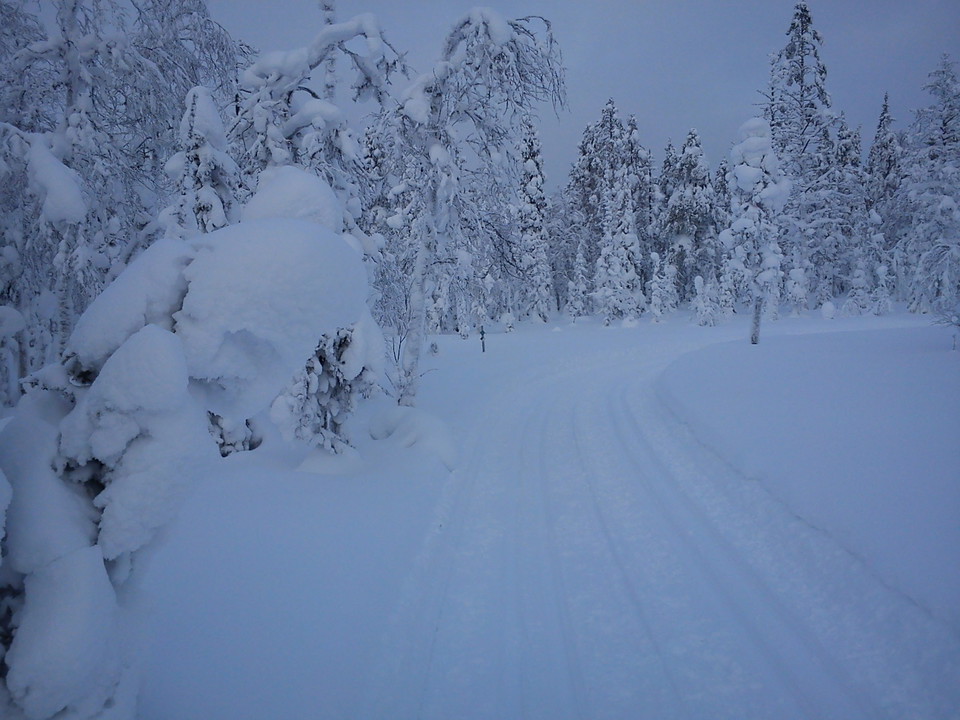 Skidspår i Harsa