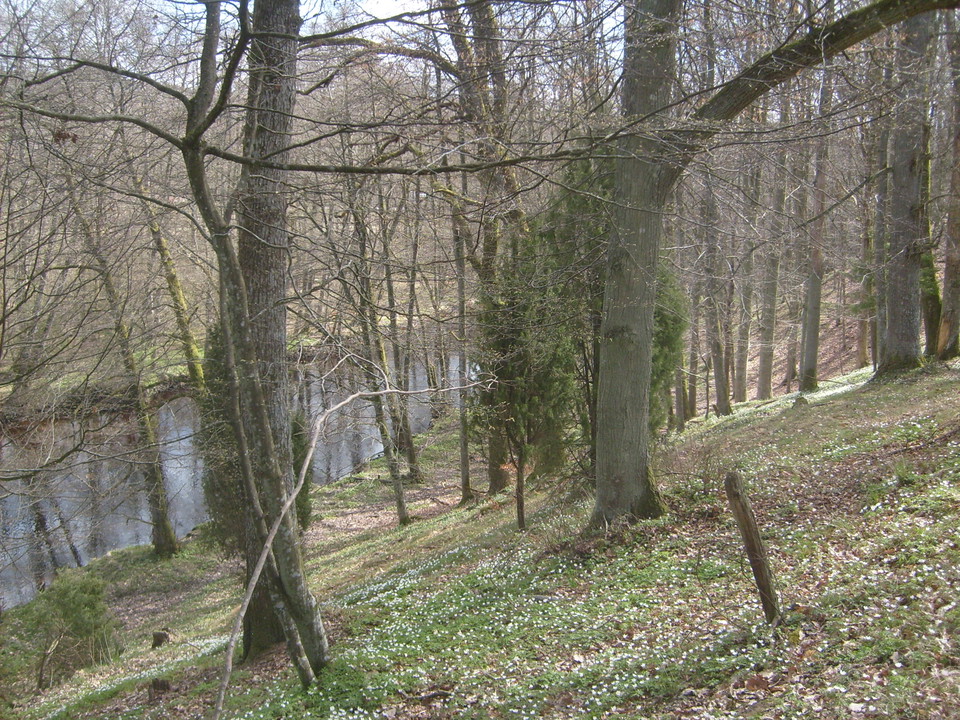 Hagslänt mot ån.