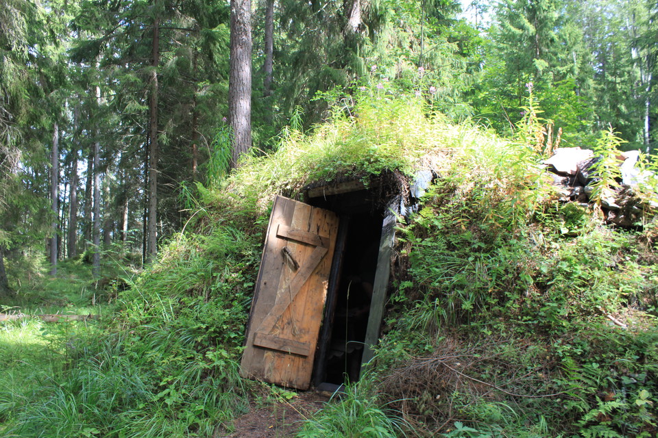 En hög, gräsbevuxen kulle med en öppen dörr står i skogen.