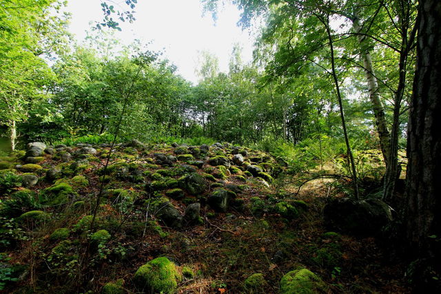Gravrösen, Huvududden