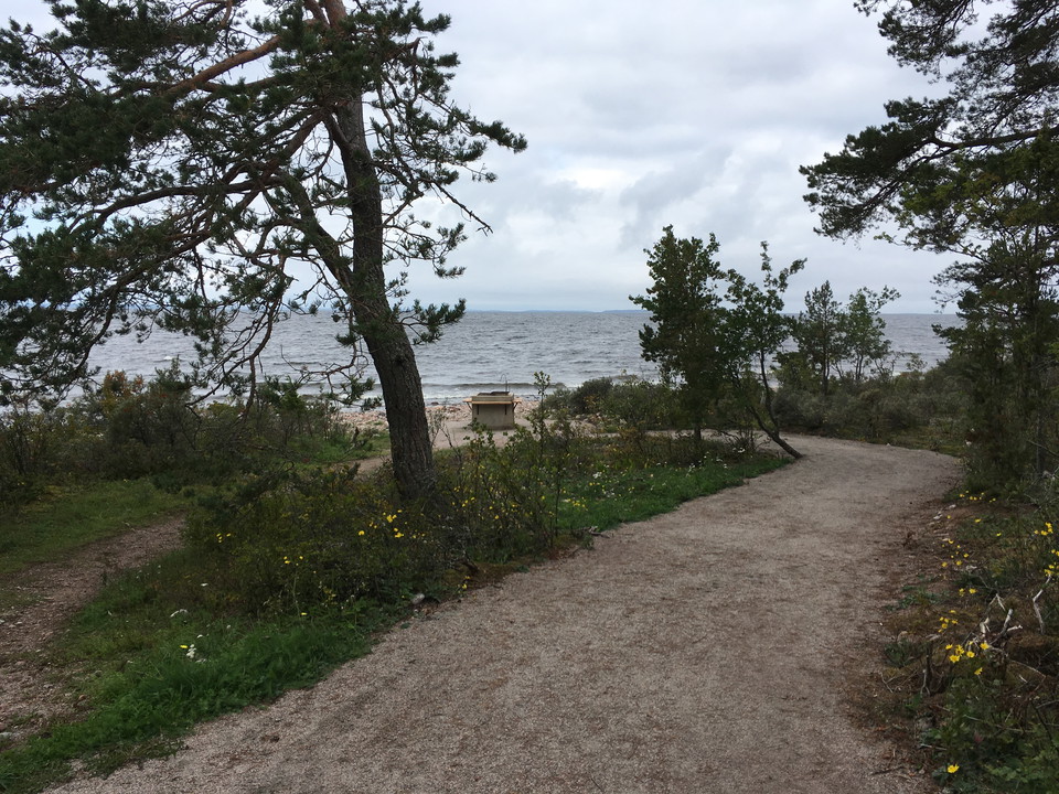 En bred grusad gångväg leder ner till en grillplats vid havet. Vid platsen växer träd och buskar.