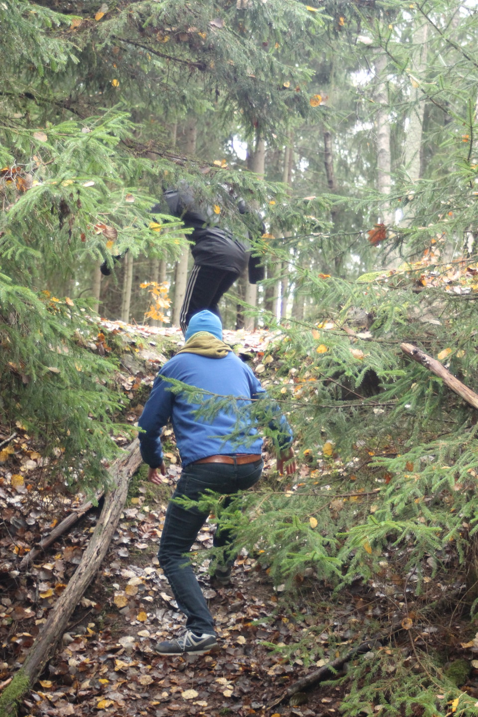 Brant i norra delen av stenbrottslingan
